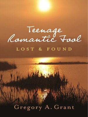 cover image of Teenage Romantic Fool: Lost & Found